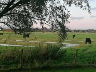 Vakantieappartement Callantsoog Buitenaudio-opname 2