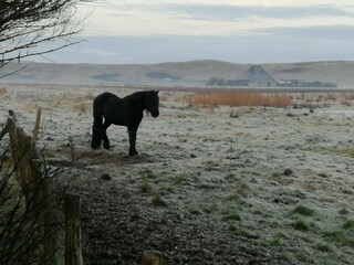 Appartamento per vacanze Callantsoog Registrazione all'aperto 1