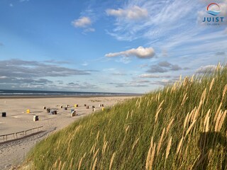 Strandkörbe am Strand