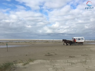 Autofreie Insel