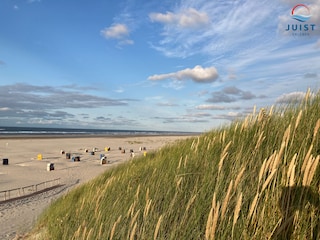 Strandkörbe am Strand