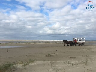 Autofreie Insel