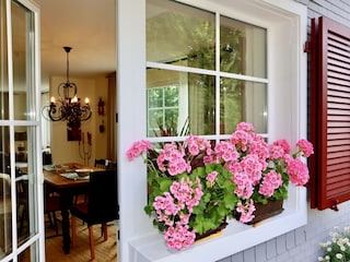 Terrace access with lovingly planted outdoor area
