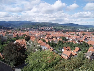 Blick vom Lustgarten (100m von der Ferienwohnung)