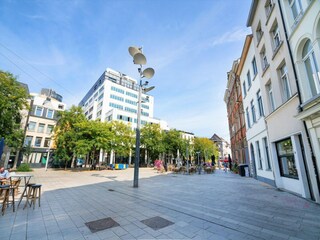 Appartement Antwerpen Omgeving 12