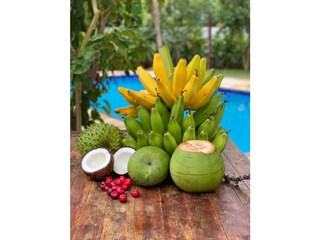 Casa per le vacanze Parajuru-Beberibe Registrazione all'aperto 8