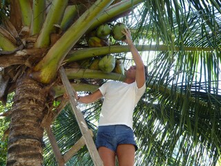 Casa per le vacanze Parajuru-Beberibe Ambiente 14