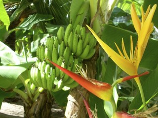 Casa per le vacanze Parajuru-Beberibe Ambiente 16