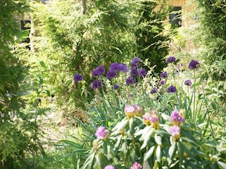 Vakantiehuis Coevorden Omgeving 25