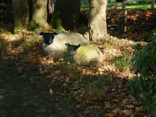 Holiday house Coevorden Environment 27