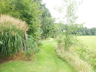 Casa de vacaciones Coevorden Entorno 28