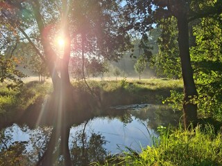 Holiday house Burg im Spreewald Environment 33