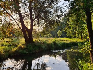 Holiday house Burg im Spreewald Environment 34