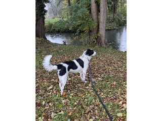 Holiday house Burg im Spreewald Environment 35