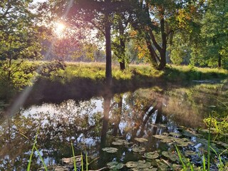 Holiday house Burg im Spreewald Environment 36
