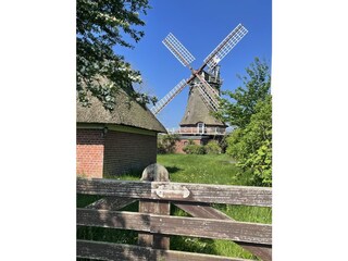 Mühle in Oldsum