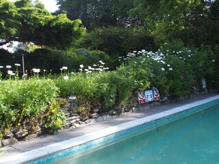 Vakantieappartement Looe Zwembad 21