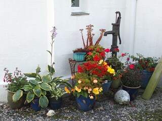 Appartamento per vacanze Looe Registrazione all'aperto 10