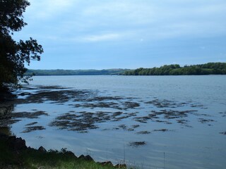 Appartamento per vacanze Looe Ambiente 32