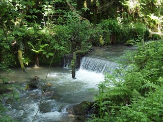 Appartamento per vacanze Looe Ambiente 33