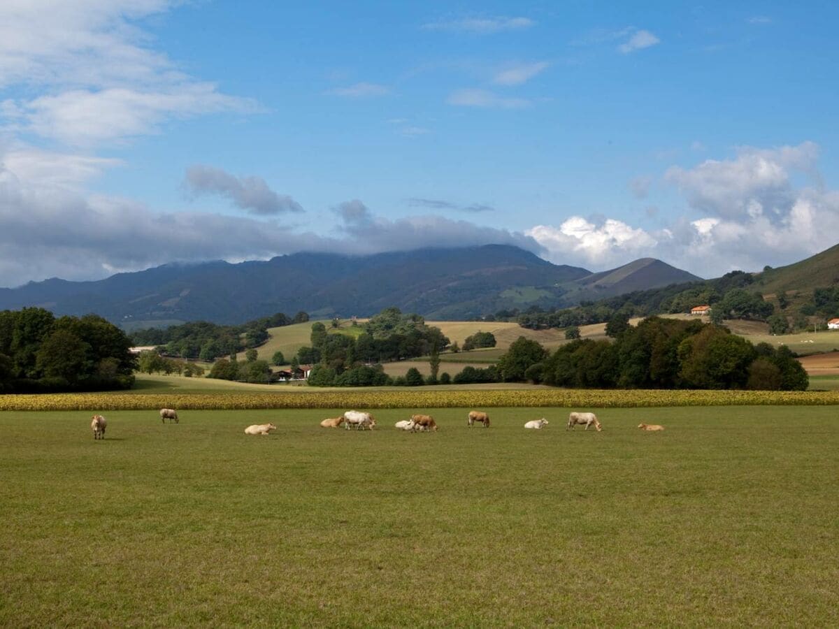 Das Pyrenäenvorland an der Côte Basque