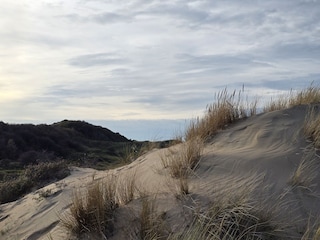 Dunes Egmond
