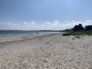 Holnis Strand