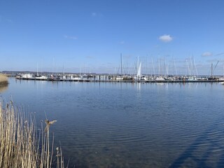 Die Küste.