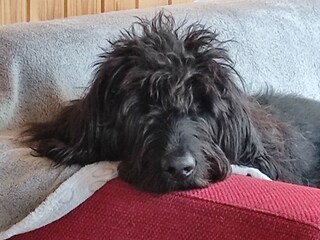 Unser Milo