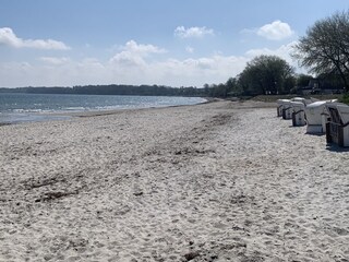 Strand Holnis.