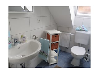 Das Duschbad im 1. Stock.