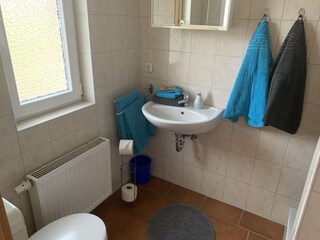 Das Duschbad im EG.