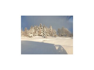 Maison de vacances Zawoja  40