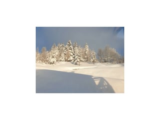 Vakantiehuis Zawoja  40