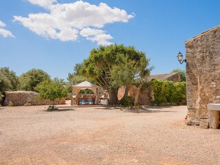 Tenuta Llucmajor Registrazione all'aperto 7