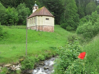 Fewo Schönmünzblick, Ausblick nach Süden, Heidi Jo