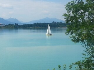 Forggensee