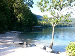 Alpsee