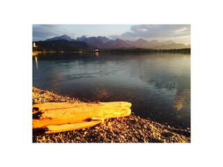 Abendstimmung am Forggensee