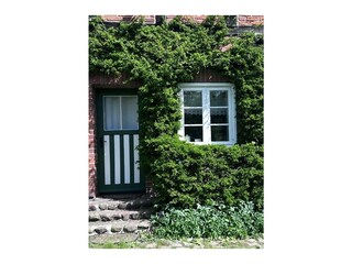 Holiday apartment Bülow Outdoor Recording 2