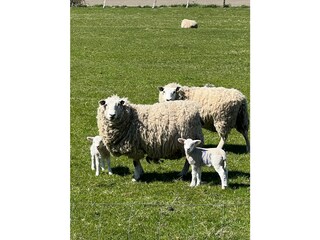 Nordfriesland