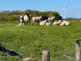 Schöne Natur