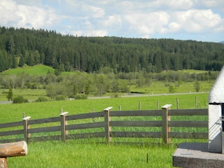 Blick zum Fluß