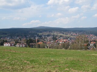 Braunlage vom Adamsblick