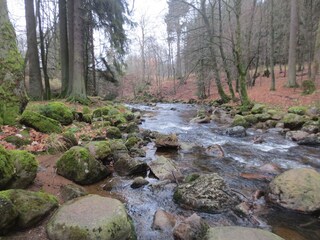 Spaziergang an der Bode