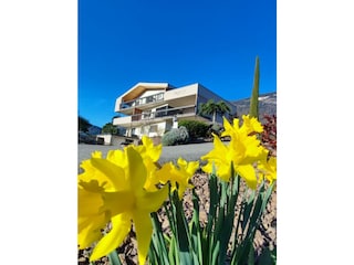 Frühling