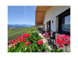 Die Terrasse wird zum Wohnzimmer