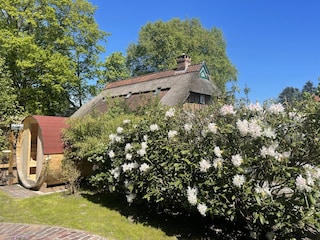 Gartendetail