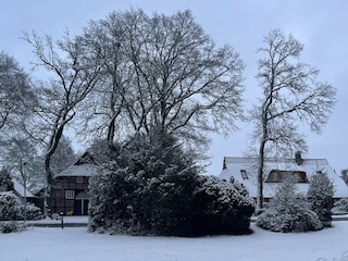 Reetdachhäuser im Winter