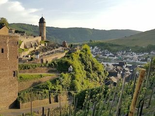 Schöne Wanderwege in den Weinbergen